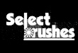 Select Brushes